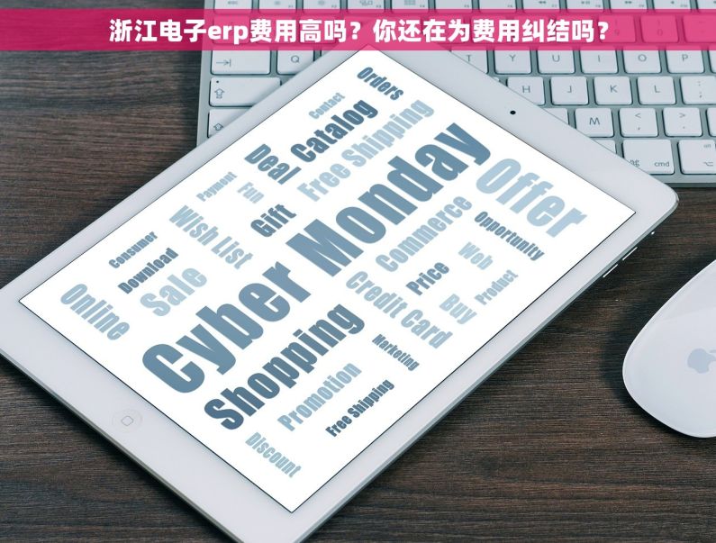 浙江电子erp费用高吗？你还在为费用纠结吗？