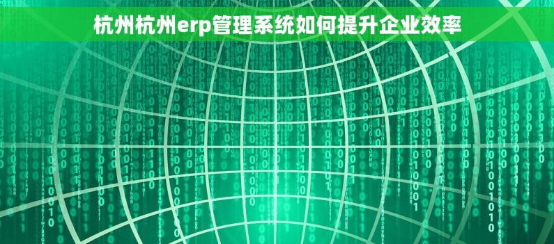 杭州杭州erp管理系统如何提升企业效率