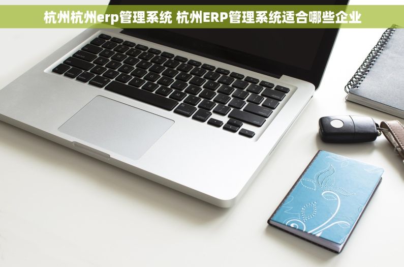 杭州杭州erp管理系统 杭州ERP管理系统适合哪些企业