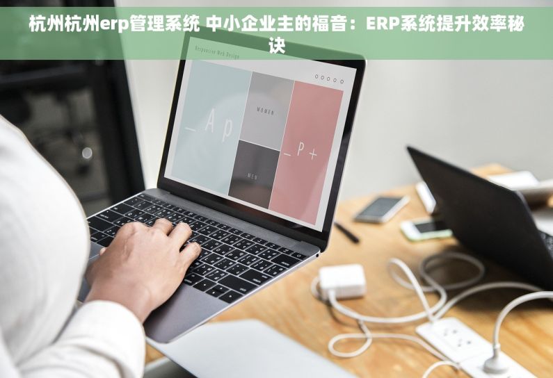 杭州杭州erp管理系统 中小企业主的福音：ERP系统提升效率秘诀