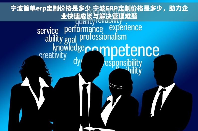 宁波简单erp定制价格是多少 宁波ERP定制价格是多少，助力企业快速成长与解决管理难题