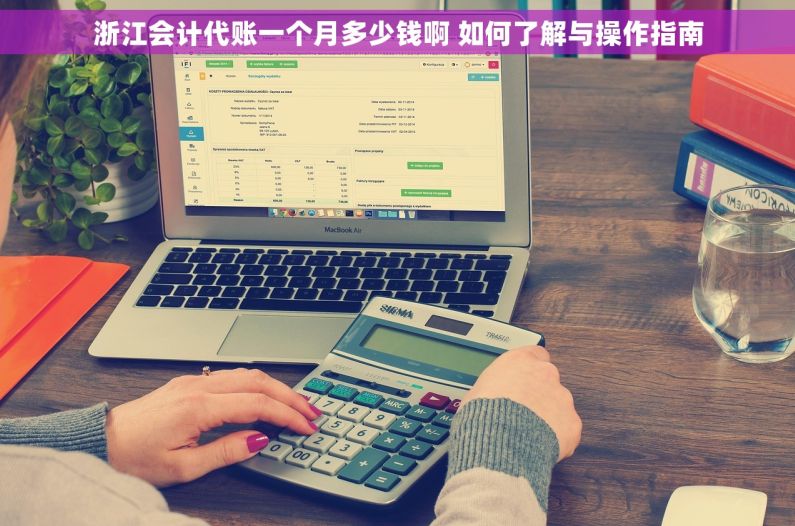 浙江会计代账一个月多少钱啊 如何了解与操作指南