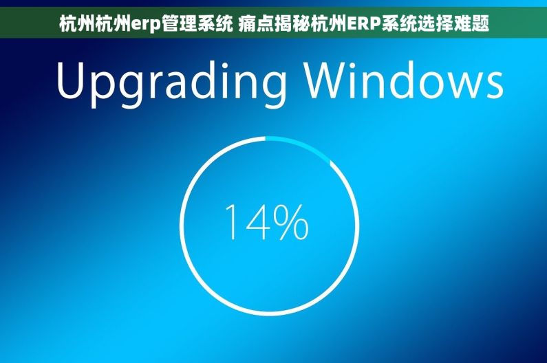 杭州杭州erp管理系统 痛点揭秘杭州ERP系统选择难题