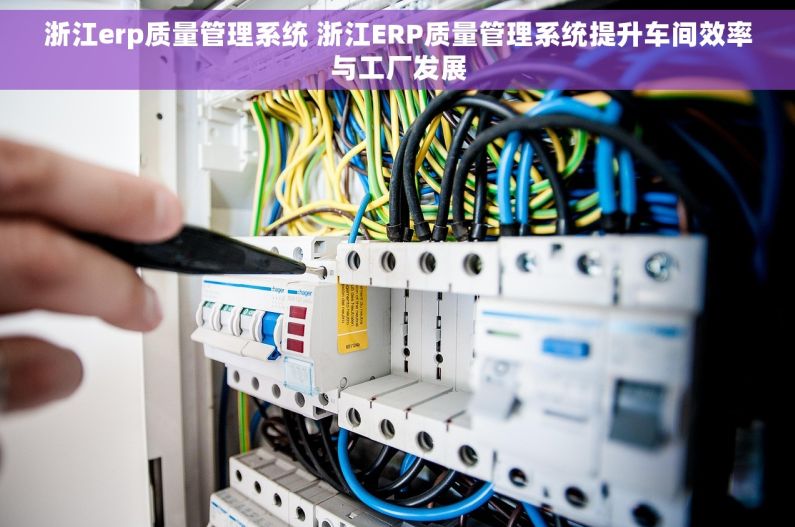 浙江erp质量管理系统 浙江ERP质量管理系统提升车间效率与工厂发展