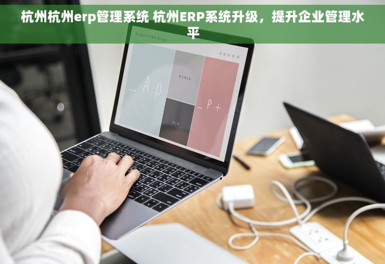 杭州杭州erp管理系统 杭州ERP系统升级，提升企业管理水平