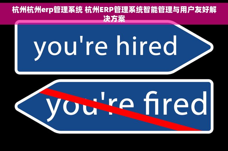 杭州杭州erp管理系统 杭州ERP管理系统智能管理与用户友好解决方案