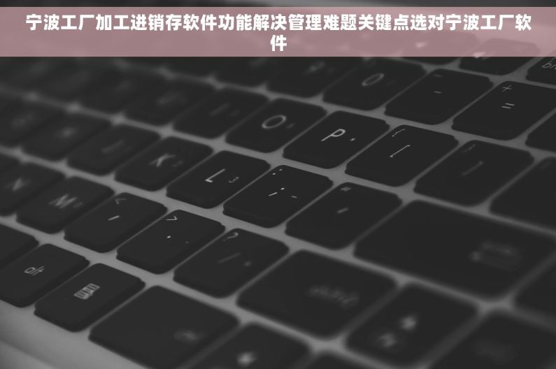 宁波工厂加工进销存软件功能解决管理难题关键点选对宁波工厂软件