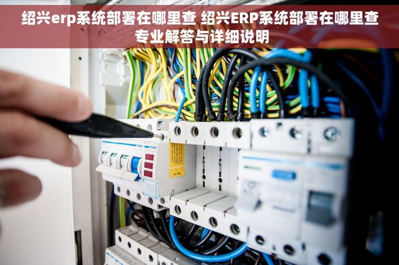 绍兴erp系统部署在哪里查 绍兴ERP系统部署在哪里查 专业解答与详细说明