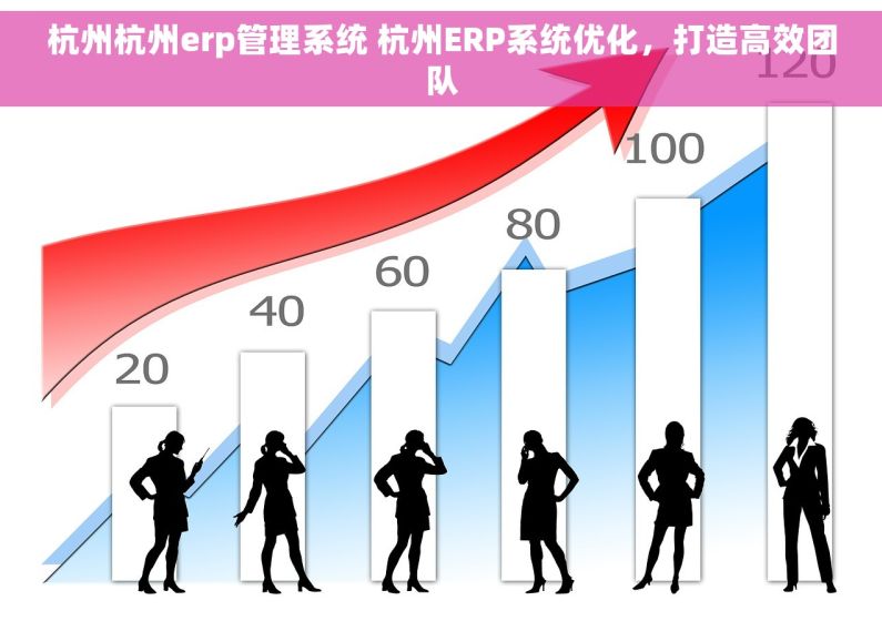 杭州杭州erp管理系统 杭州ERP系统优化，打造高效团队