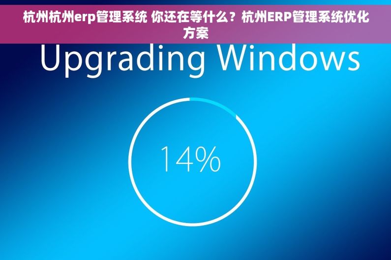 杭州杭州erp管理系统 你还在等什么？杭州ERP管理系统优化方案