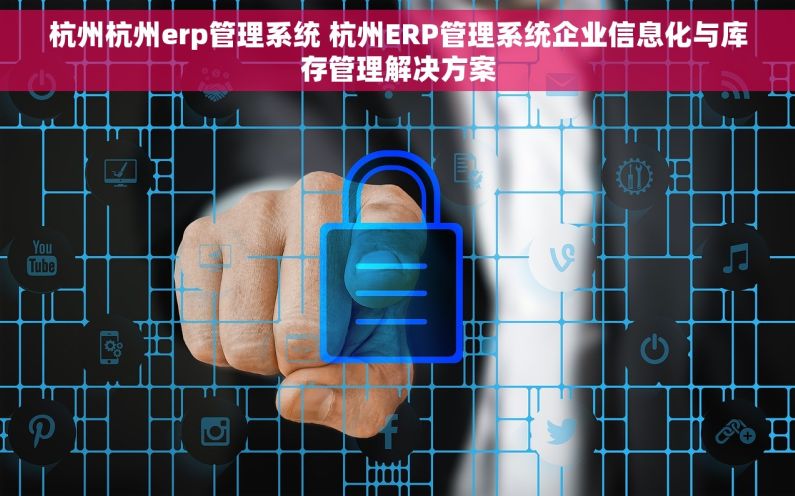 杭州杭州erp管理系统 杭州ERP管理系统企业信息化与库存管理解决方案
