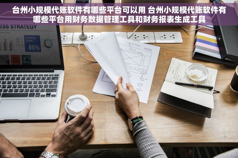 台州小规模代账软件有哪些平台可以用 台州小规模代账软件有哪些平台用财务数据管理工具和财务报表生成工具