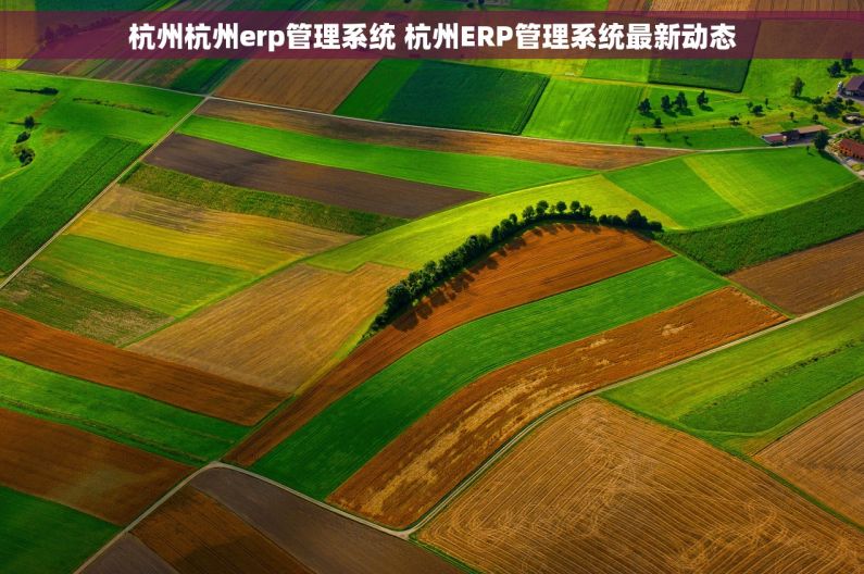 杭州杭州erp管理系统 杭州ERP管理系统最新动态