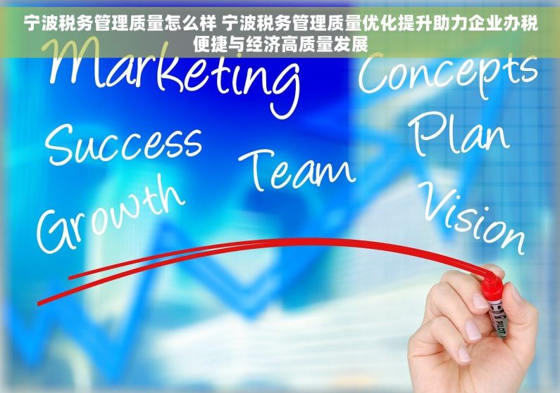 宁波税务管理质量怎么样 宁波税务管理质量优化提升助力企业办税便捷与经济高质量发展
