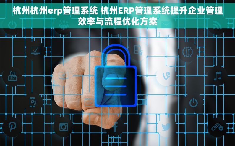 杭州杭州erp管理系统 杭州ERP管理系统提升企业管理效率与流程优化方案
