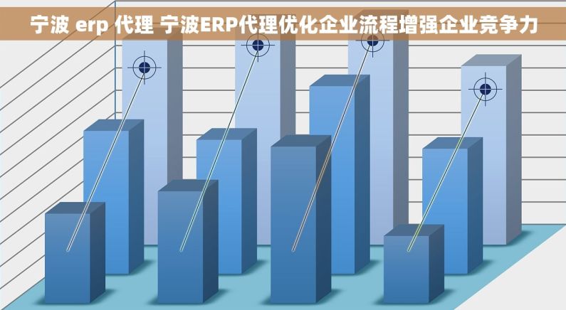 宁波 erp 代理 宁波ERP代理优化企业流程增强企业竞争力