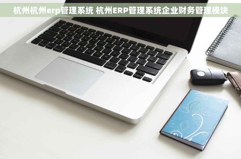 杭州杭州erp管理系统 杭州ERP管理系统企业财务管理模块