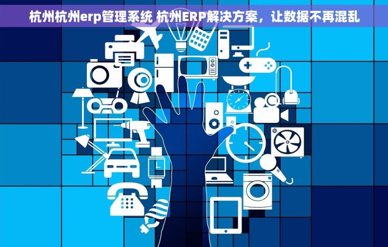 杭州杭州erp管理系统 杭州ERP解决方案，让数据不再混乱
