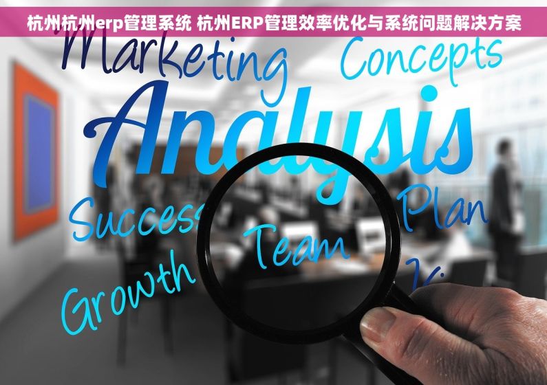 杭州杭州erp管理系统 杭州ERP管理效率优化与系统问题解决方案