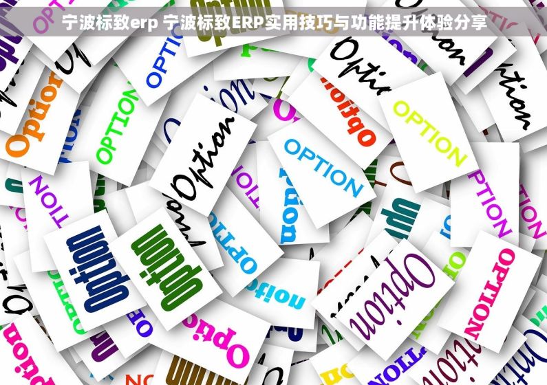 宁波标致erp 宁波标致ERP实用技巧与功能提升体验分享