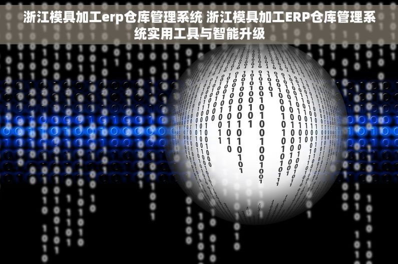 浙江模具加工erp仓库管理系统 浙江模具加工ERP仓库管理系统实用工具与智能升级