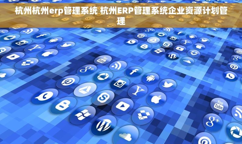 杭州杭州erp管理系统 杭州ERP管理系统企业资源计划管理