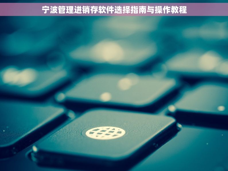 宁波管理进销存软件选择指南与操作教程