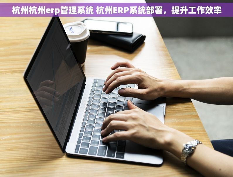 杭州杭州erp管理系统 杭州ERP系统部署，提升工作效率