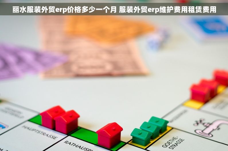 丽水服装外贸erp价格多少一个月 服装外贸erp维护费用租赁费用