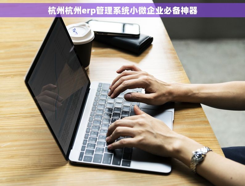 杭州杭州erp管理系统小微企业必备神器