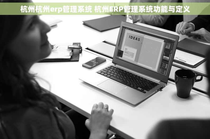 杭州杭州erp管理系统 杭州ERP管理系统功能与定义