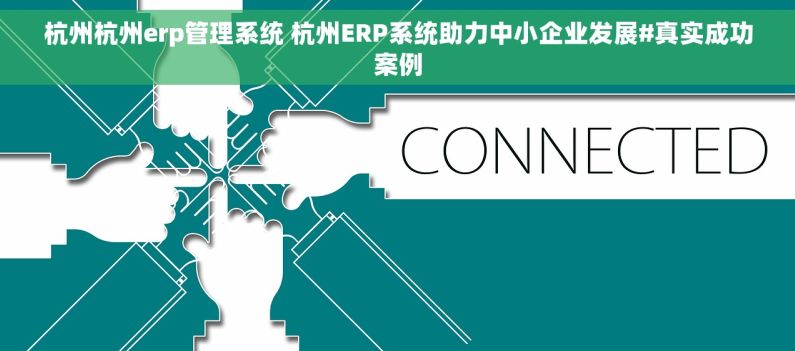 杭州杭州erp管理系统 杭州ERP系统助力中小企业发展#真实成功案例