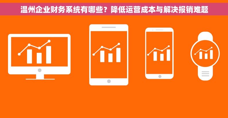 温州企业财务系统有哪些？降低运营成本与解决报销难题