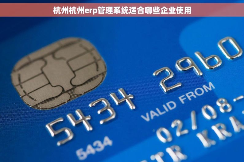 杭州杭州erp管理系统适合哪些企业使用