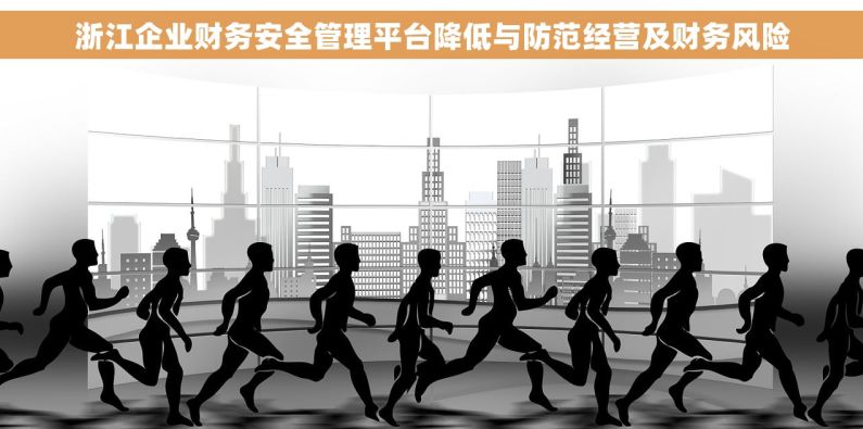 浙江企业财务安全管理平台降低与防范经营及财务风险