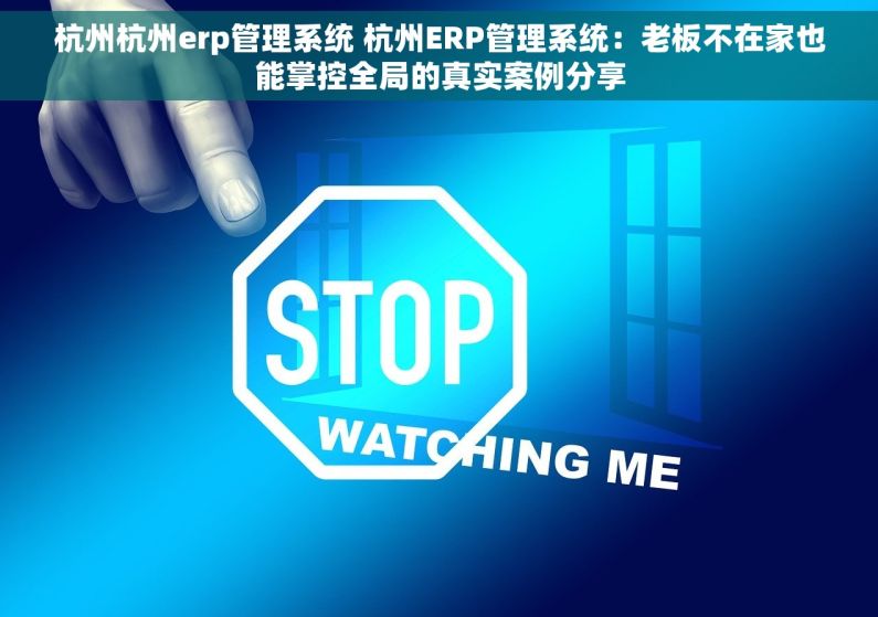 杭州杭州erp管理系统 杭州ERP管理系统：老板不在家也能掌控全局的真实案例分享