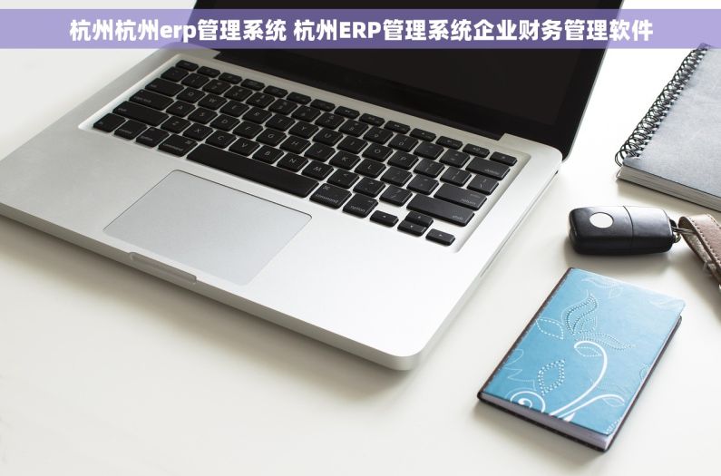 杭州杭州erp管理系统 杭州ERP管理系统企业财务管理软件