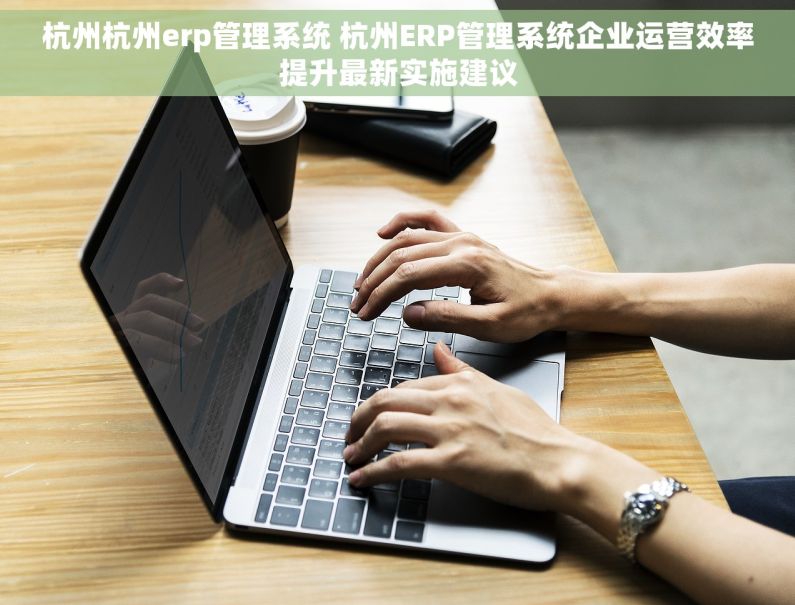杭州杭州erp管理系统 杭州ERP管理系统企业运营效率提升最新实施建议