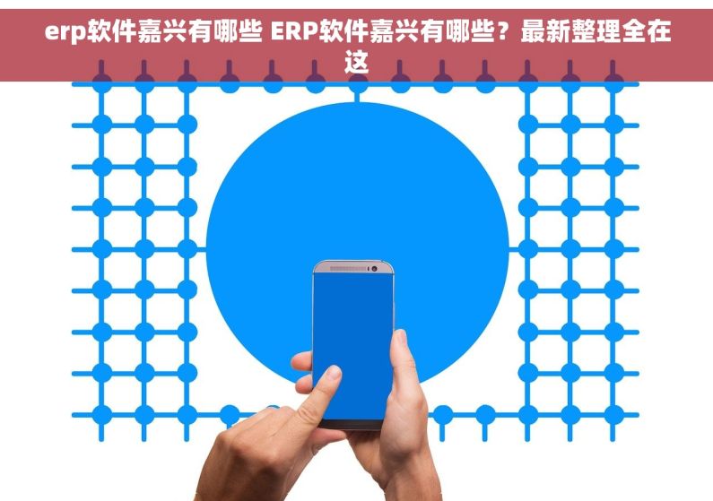 erp软件嘉兴有哪些 ERP软件嘉兴有哪些？最新整理全在这
