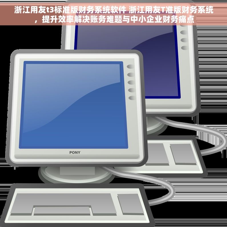 浙江用友t3标准版财务系统软件 浙江用友T准版财务系统，提升效率解决账务难题与中小企业财务痛点