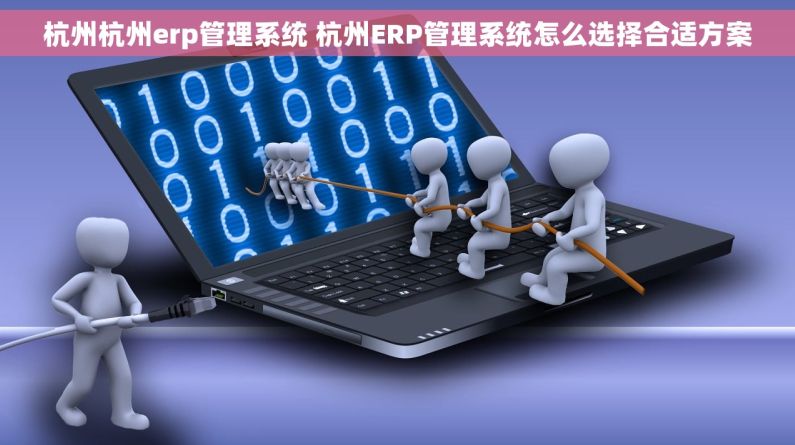 杭州杭州erp管理系统 杭州ERP管理系统怎么选择合适方案