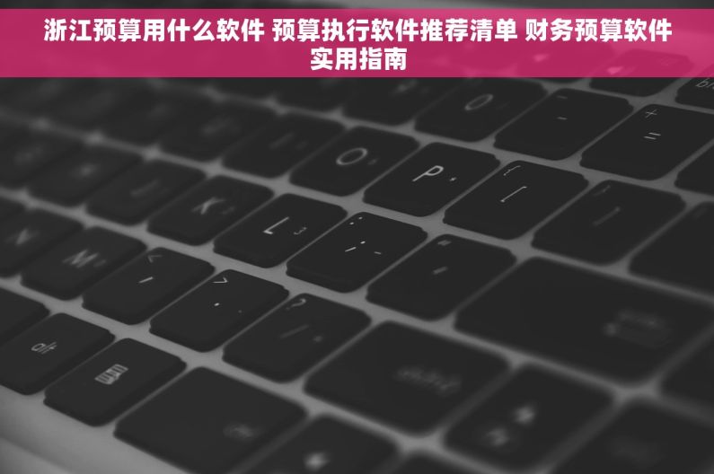 浙江预算用什么软件 预算执行软件推荐清单 财务预算软件实用指南