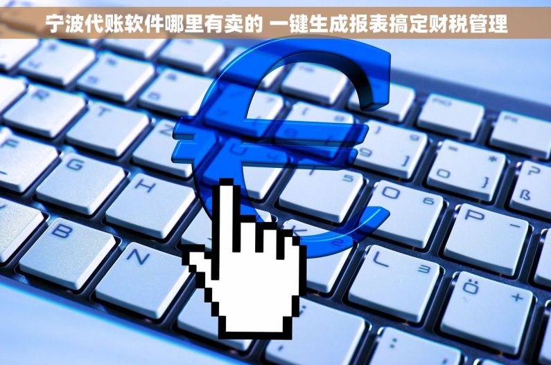 宁波代账软件哪里有卖的 一键生成报表搞定财税管理