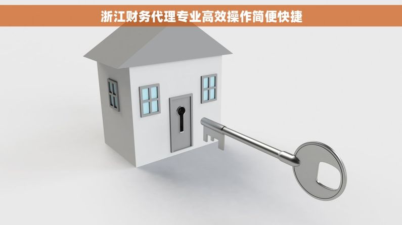 浙江财务代理专业高效操作简便快捷