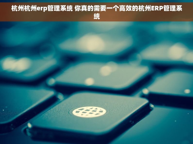 杭州杭州erp管理系统 你真的需要一个高效的杭州ERP管理系统