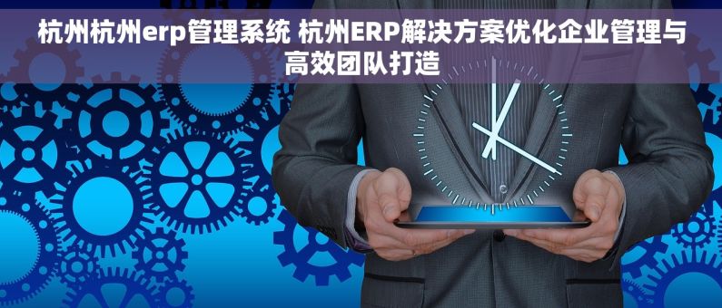 杭州杭州erp管理系统 杭州ERP解决方案优化企业管理与高效团队打造
