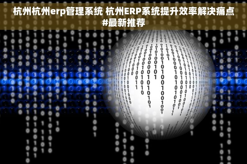 杭州杭州erp管理系统 杭州ERP系统提升效率解决痛点#最新推荐