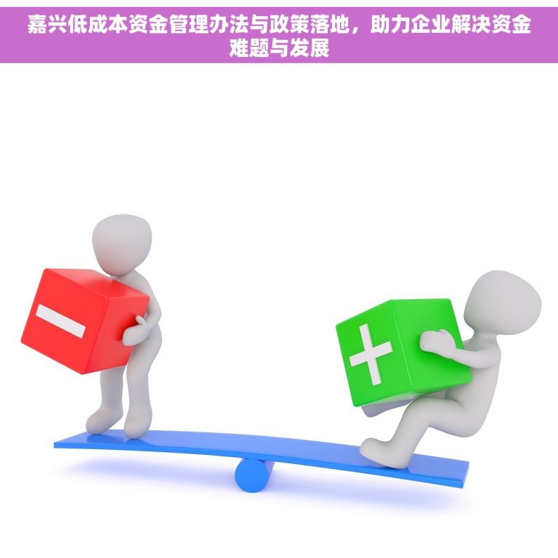 嘉兴低成本资金管理办法与政策落地，助力企业解决资金难题与发展