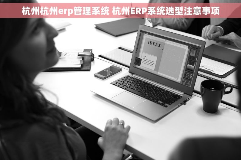 杭州杭州erp管理系统 杭州ERP系统选型注意事项
