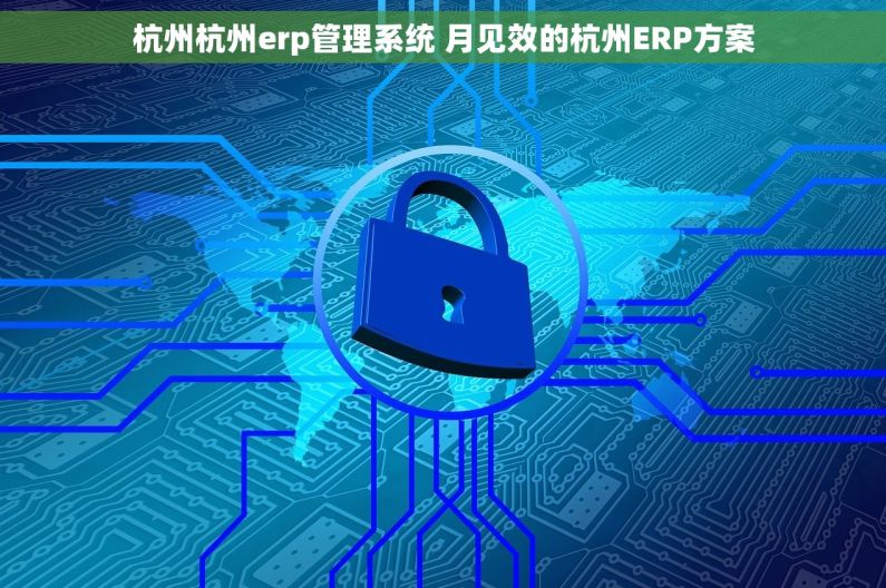 杭州杭州erp管理系统 月见效的杭州ERP方案